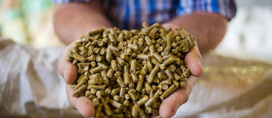 Produits nutritifs pour élevage d'animaux